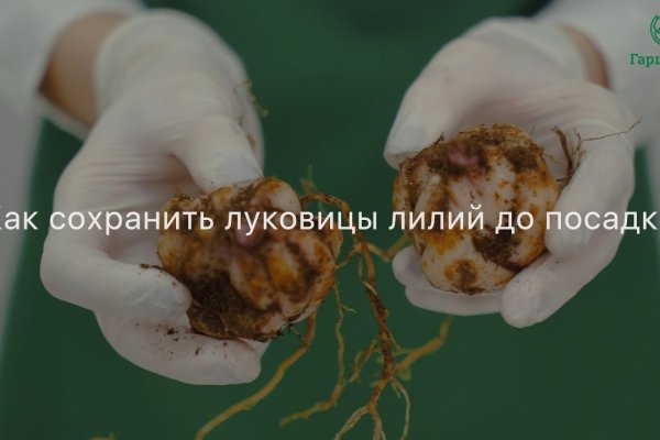 Действующие ссылки на кракен