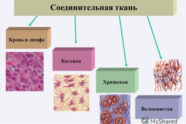 Сайт кракен 24