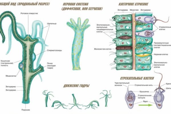 Kraken что это такое